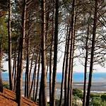 Maison Lumineuse Au Cœur D'arcachon, à 200m, Terrasse Privée ! - Fr-1-420-148 Arcachon