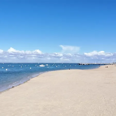 Maison Lumineuse Au Coeur D'arcachon, A 200m, Terrasse Privee ! - Fr-1-420-148 別荘 *
