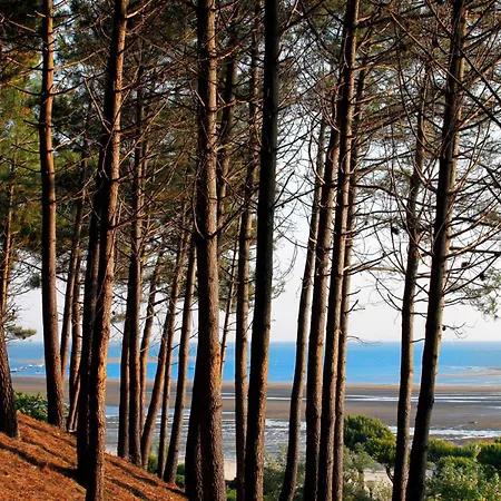 Maison Lumineuse Au Coeur D'arcachon, A 200m, Terrasse Privee ! - Fr-1-420-148 Arcachon