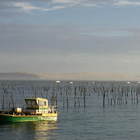 Maison Lumineuse Au Coeur D'arcachon, A 200m, Terrasse Privee ! - Fr-1-420-148 別荘