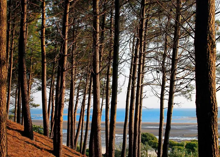 Maison Lumineuse Au Coeur D'arcachon, A 200m, Terrasse Privee ! - Fr-1-420-148 アルカション