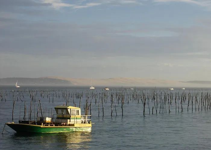 Maison Lumineuse Au Coeur D'arcachon, A 200m, Terrasse Privee ! - Fr-1-420-148 Ferienhaus